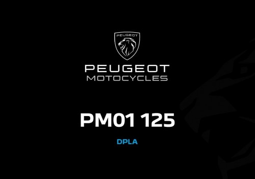 PEUGEOT MOTOCYCLES PM01 125 cc.